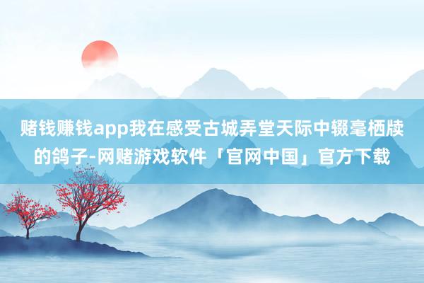 赌钱赚钱app我在感受古城弄堂天际中辍毫栖牍的鸽子-网赌游戏软件「官网中国」官方下载