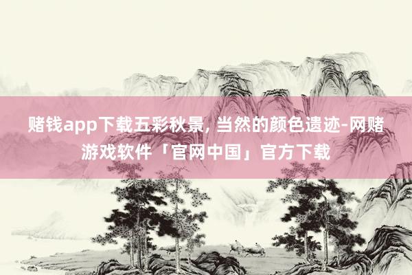 赌钱app下载五彩秋景, 当然的颜色遗迹-网赌游戏软件「官网中国」官方下载