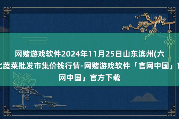 网赌游戏软件2024年11月25日山东滨州(六街)鲁北蔬菜批发市集价钱行情-网赌游戏软件「官网中国」官方下载