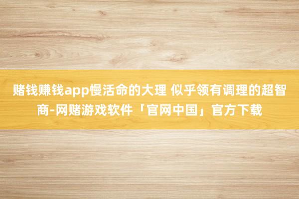 赌钱赚钱app慢活命的大理 似乎领有调理的超智商-网赌游戏软件「官网中国」官方下载