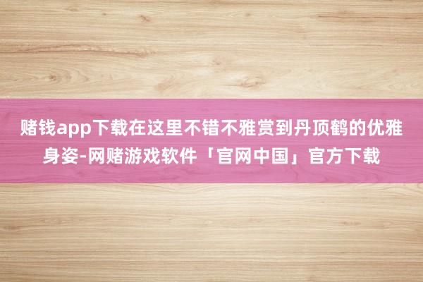 赌钱app下载在这里不错不雅赏到丹顶鹤的优雅身姿-网赌游戏软件「官网中国」官方下载
