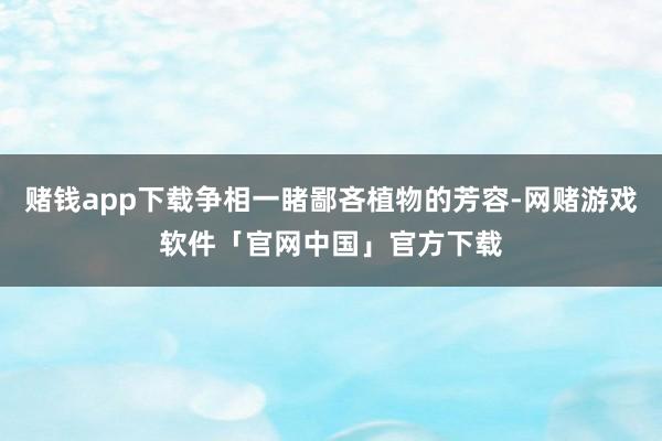 赌钱app下载争相一睹鄙吝植物的芳容-网赌游戏软件「官网中国」官方下载