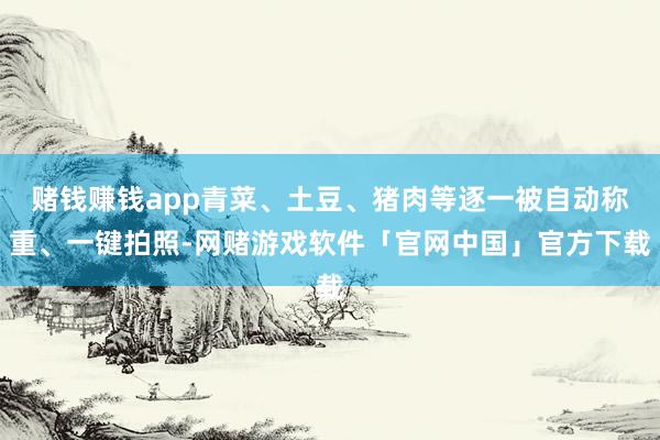 赌钱赚钱app青菜、土豆、猪肉等逐一被自动称重、一键拍照-网赌游戏软件「官网中国」官方下载