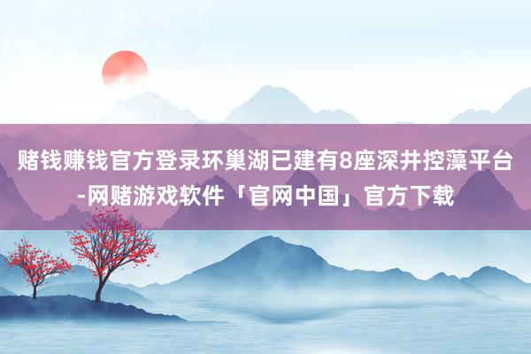 赌钱赚钱官方登录环巢湖已建有8座深井控藻平台-网赌游戏软件「官网中国」官方下载