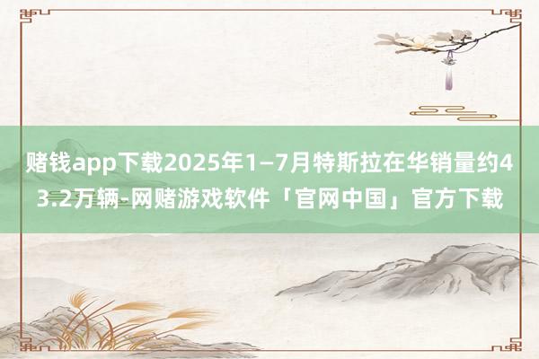 赌钱app下载2025年1—7月特斯拉在华销量约43.2万辆-网赌游戏软件「官网中国」官方下载