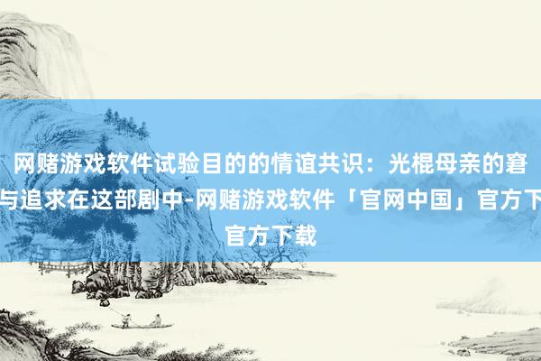 网赌游戏软件试验目的的情谊共识：光棍母亲的窘境与追求在这部剧中-网赌游戏软件「官网中国」官方下载