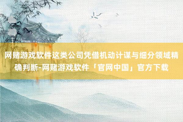 网赌游戏软件这类公司凭借机动计谋与细分领域精确判断-网赌游戏软件「官网中国」官方下载