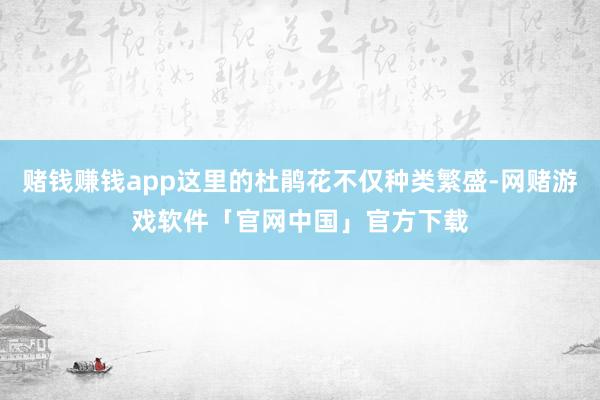 赌钱赚钱app这里的杜鹃花不仅种类繁盛-网赌游戏软件「官网中国」官方下载