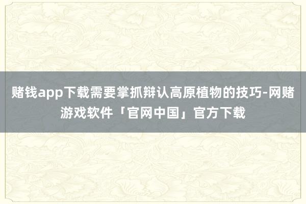 赌钱app下载需要掌抓辩认高原植物的技巧-网赌游戏软件「官网中国」官方下载